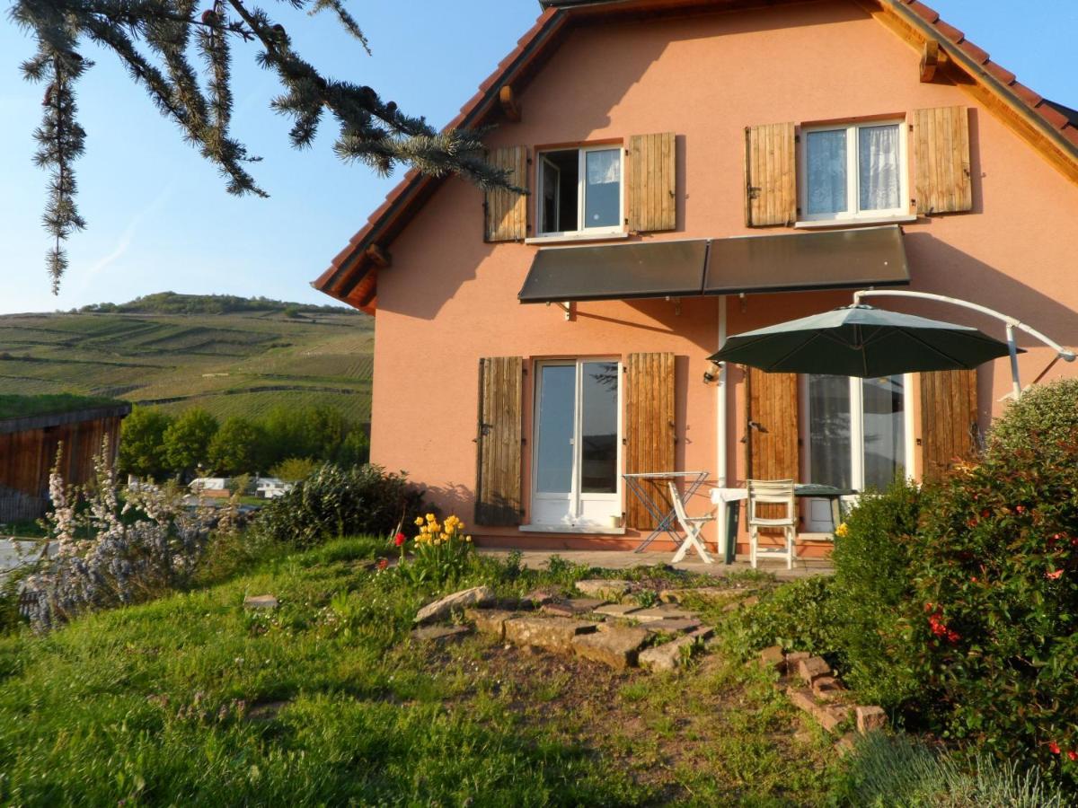 Apartamento Chez Le Vigneron Westhalten Exterior foto