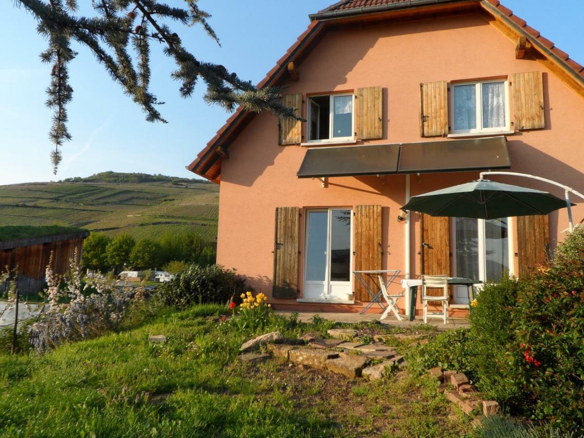 Apartamento Chez Le Vigneron Westhalten Exterior foto